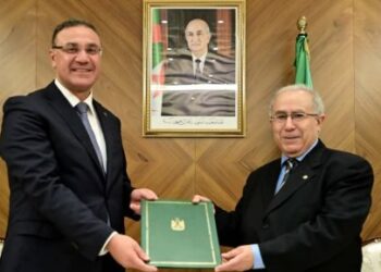 مسؤول مصري: نثق بقدرة الجزائر على تعزيز العمل العربي المشترك ودعم الأمن والإستقرار عربيا وإفريقيا ودوليا