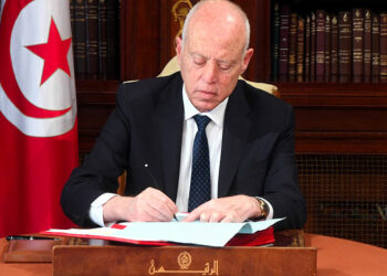 الرئيس قيس سعيد: سنحدث لجنة للتدقيق في مآل القروض التي تحصلت عليها تونس ونهبت