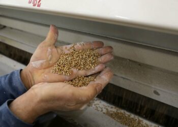 فاينانشال تايمز: الحرب في أوكرانيا تهدد الأمن الغذائي والإستقرار السياسي في الدول العربية !!!