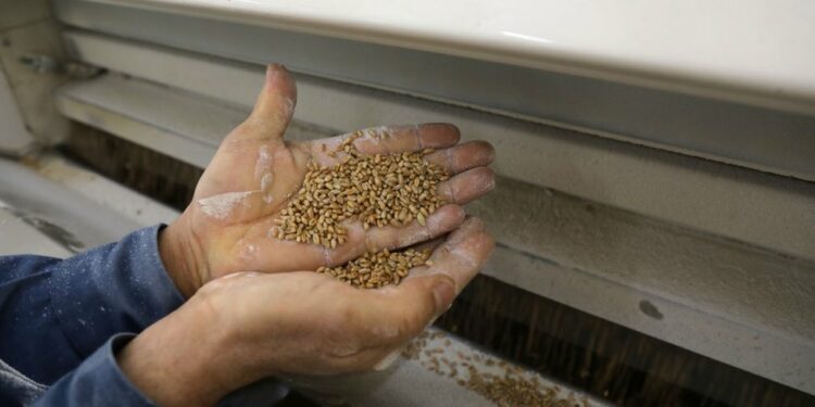 فاينانشال تايمز: الحرب في أوكرانيا تهدد الأمن الغذائي والإستقرار السياسي في الدول العربية !!!