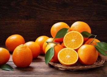 مفاجأة.. البرتقال لا يمنح الجرعة المثالية من فيتامين C يومياً