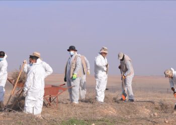 أربيل..  إكتشاف 81 مقبرة جماعية للإيزيديين بسنجار منذ 2014