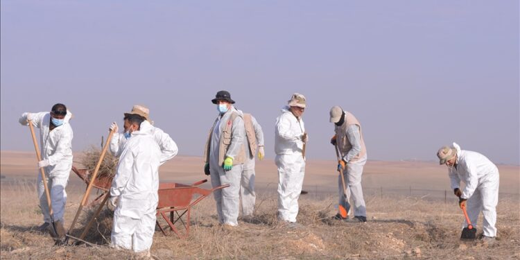 أربيل..  إكتشاف 81 مقبرة جماعية للإيزيديين بسنجار منذ 2014