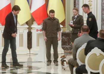 زيلينسكي يكرم الكلب باترون مع فريق إزالة الألغام