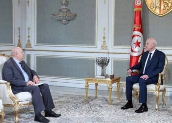 الرئيس التونسي يكلف أستاذ قانون لرئاسة هيئة أستشارية تعد دستورا لجمهورية جديدة