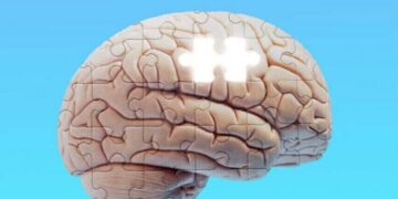 دراسة : 7 عادات بسيطة تقلل من خطر الإصابة بالخرف حتى بين أولئك المعرضين جينيا للمرض