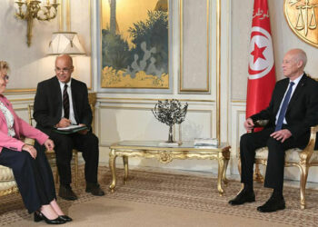 الرئيس التونسي لمساعدة وزير الخارجية الأمريكي: نرفض التدخل في شؤوننا الداخلية.. ويعرب عن الإستياء من تصريحات مسؤولين أمريكيين