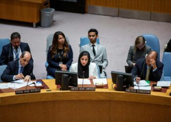 الإمارات تأسف لفتور الجهود الدبلوماسية لإنهاء الأزمة السورية