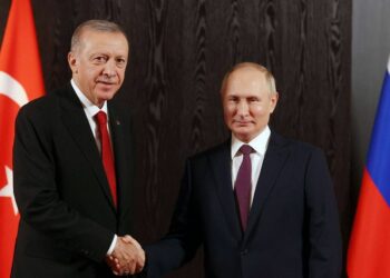 بوتين سيُرسل الحبوب مجانا لدول محتاجة