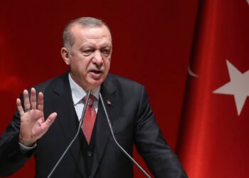 اردوغان سيتحدث إلى كل من بوتين وزيلينسكي بشأن إتفاق الحبوب الأوكرانية ويرجح تجاوز الأزمة