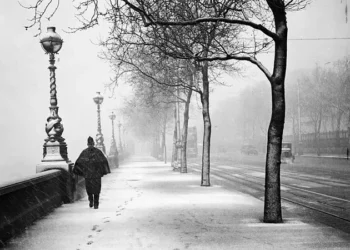 قصة قصيرة” الأبيض والأسود “