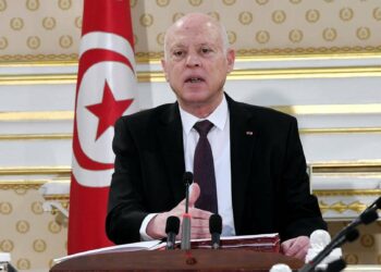 قيس سعيد يعرض موقف تونس من الإصلاحات مع عضو بالأمن القومي الأمريكي