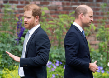 هاري يتّهم شقيقه الأمير وليام بالاعتداء عليه جسدياً عام 2019