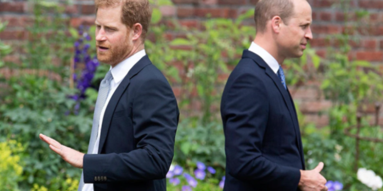 هاري يتّهم شقيقه الأمير وليام بالاعتداء عليه جسدياً عام 2019
