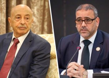 عضو بـ”الأعلى للدولة” الليبي: لقاء مرتقب بين المشري وصالح بالقاهرة