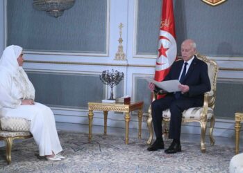 سفيرة دولة الإمارات بتونس تسلم الرئيس قيس سعيد دعوة من رئيس دولة الإمارات لحضور القمة العالمية للمناخ COP28