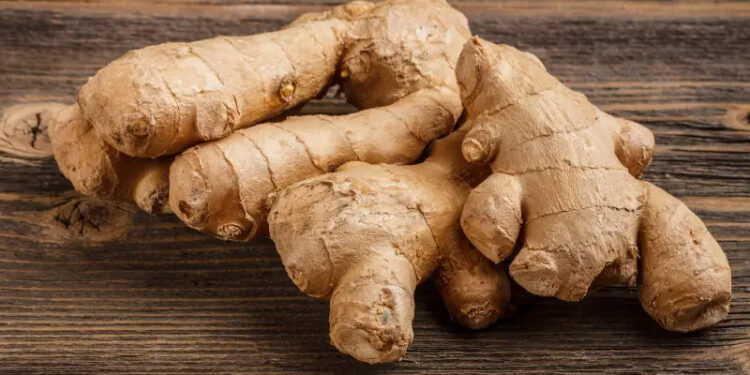 الزنجبيل: العشبة العجيبة وفوائدها المتعددة في مواجهة الشتاء