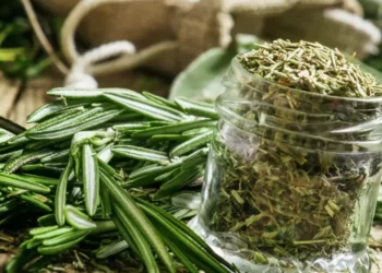 فوائد إكليل الجبل لمرضى السكري.. هل هو آمن وكيف يؤثر على مستويات السكر في الدم؟