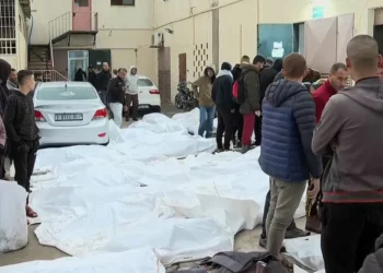 “أطباء بلا حدود” تعلن سحب موظفيها من مستشفى “الأقصى” بغزة