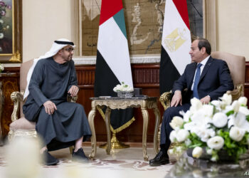 الرئيس الإماراتي بالقاهرة يبحث مع نظيره المصري أوضاع غزة وتعزيز العلاقات
