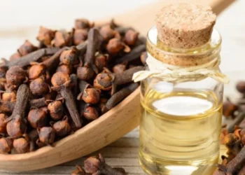 زيت القرنفل وفوائده الجلدية: تحسين مظهر بشرتك بطريقة طبيعية