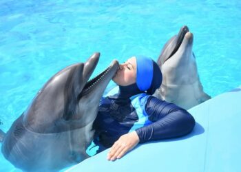 “سارة وأخواتها” .. مشروع نحو العالمية.. سارة سدر تقتحم العالمية بنجاح وإبداع