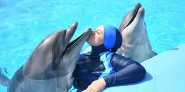 “سارة وأخواتها” .. مشروع نحو العالمية.. سارة سدر تقتحم العالمية بنجاح وإبداع