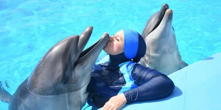 “سارة وأخواتها” .. مشروع نحو العالمية.. سارة سدر تقتحم العالمية بنجاح وإبداع