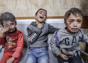 مدير الصحة العالمية: التاريخ سيحاكمنا بشأن معاناة أطفال غزة