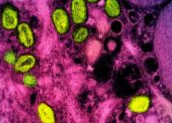 يونيسف تطرح مناقصة طارئة لتأمين لقاحات جدري القردة