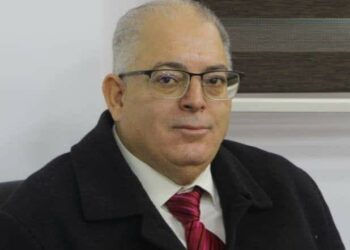 إستراتيجيات فلسطينية