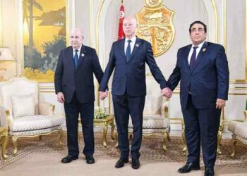 الرئيس تبون يعلن عن قرب انعقاد قمة ثلاثية “جزائرية-ليبية-تونسية” لبحث قضايا المنطقة الشائكة والملفات المشتركة بين الدول