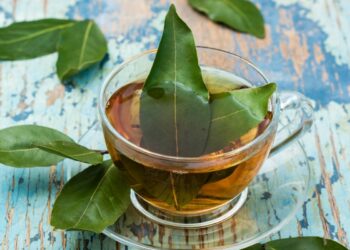 فوائد ورق السدر للوجه.. نبتة العراقة والجمال