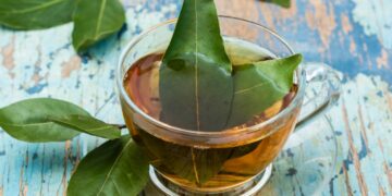 فوائد ورق السدر للوجه.. نبتة العراقة والجمال