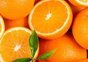 ليس فقط البرتقال والليمون..7 أطعمة أخرى غنية بفيتامين سي اعرفها