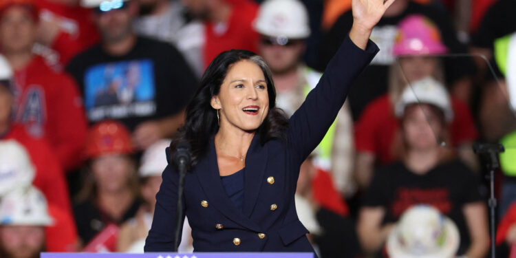 مرشحة ترامب للاستخبارات الوطنية: الاجتماعات بدأت بالفعل