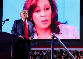 كم أنفق ترامب وهاريس على الحملة الانتخابية؟