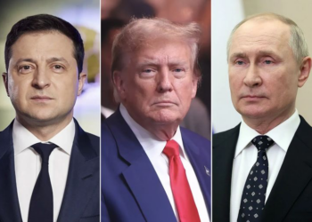 ترامب يبحث مع بوتين وزيلينسكي وقف الحرب في أوكرانيا