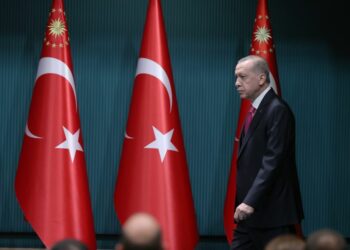 جيروزاليم بوست: على القوى المناهضة لأردوغان أن تتحرك