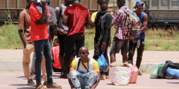 بتعاون مع «المنظمة الدولية للهجرة».. إيطاليا تخصص 20 مليون يورو لتمويل الإعادة الطوعية للمهاجرين الموجودين في شمال أفريقيا