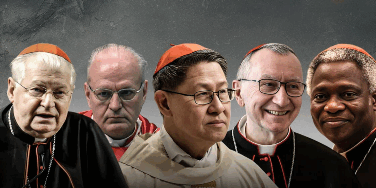 5 أسماء مرشحة لخلافة البابا فرنسيس