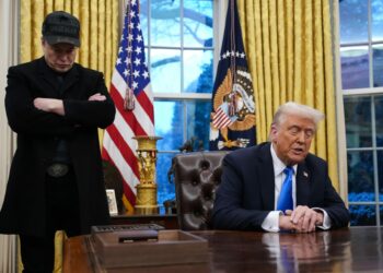 ماسك يصف مستشار ترامب للتجارة نافارو بأنه “أحمق”