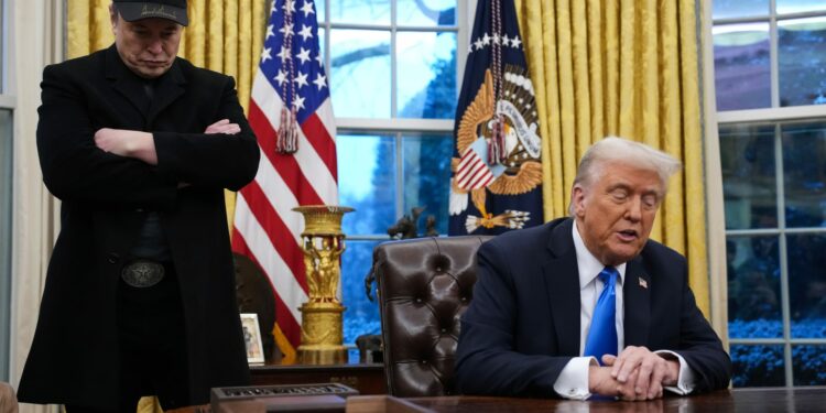 ماسك يصف مستشار ترامب للتجارة نافارو بأنه “أحمق”