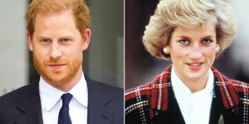 أهداها للأميرة ديانا.. فتح تحقيق بشأن منظمة خيرية أسسها الأمير هاري