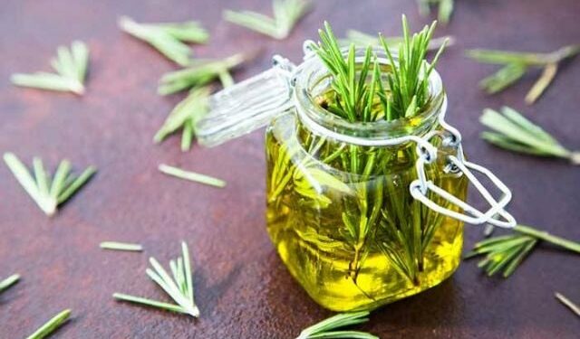 زيت إكليل الجبل “الروزماري” .. سر طبيعي للعناية بالشعر وزيادة كثافته