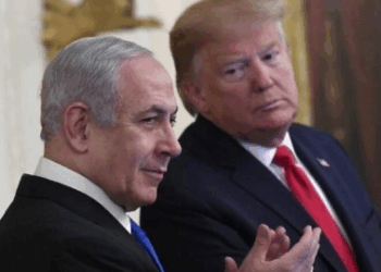 صحيفة عبرية: يبدو أن ترامب سئم من نتنياهو