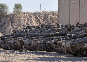 4 نقاط أساسية.. تفاصيل خطة ويتكوف بشأن غزة