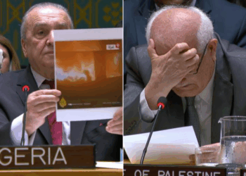 بكاء وصور أجساد تحترق في جلسة مجلس الأمن الدولي