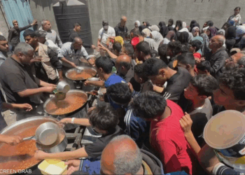 الأمم المتحدة ترفض خطة إسرائيل “لتوزيع المساعدات” في غزة