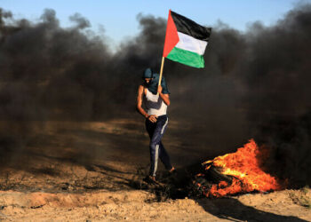 مؤتمر حل الدولتين.. قطر تعتبره تاريخيا والإمارات تهاجم إسرائيل والجزائر تدعم فلسطين وإسبانيا تطالب بوقف مجزرة غزة